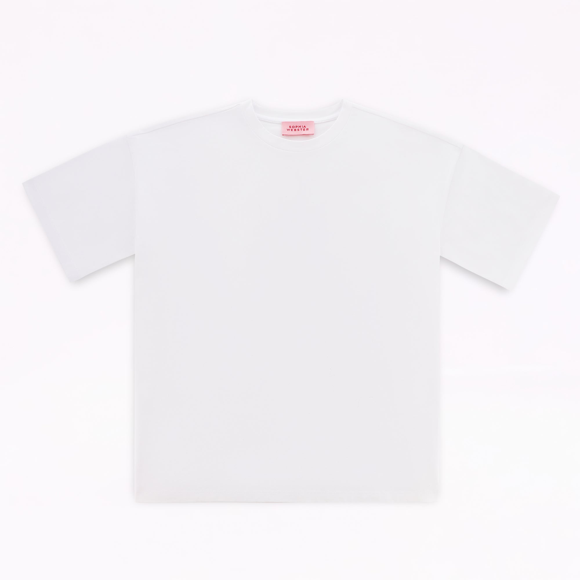 Feeding My Delusion Embroidery Oversized T-Shirt