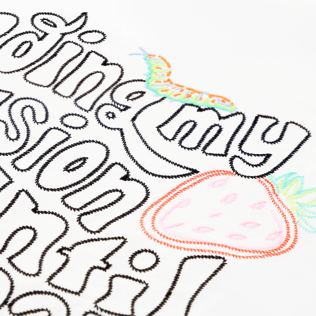 Feeding My Delusion Embroidery Oversized T-Shirt