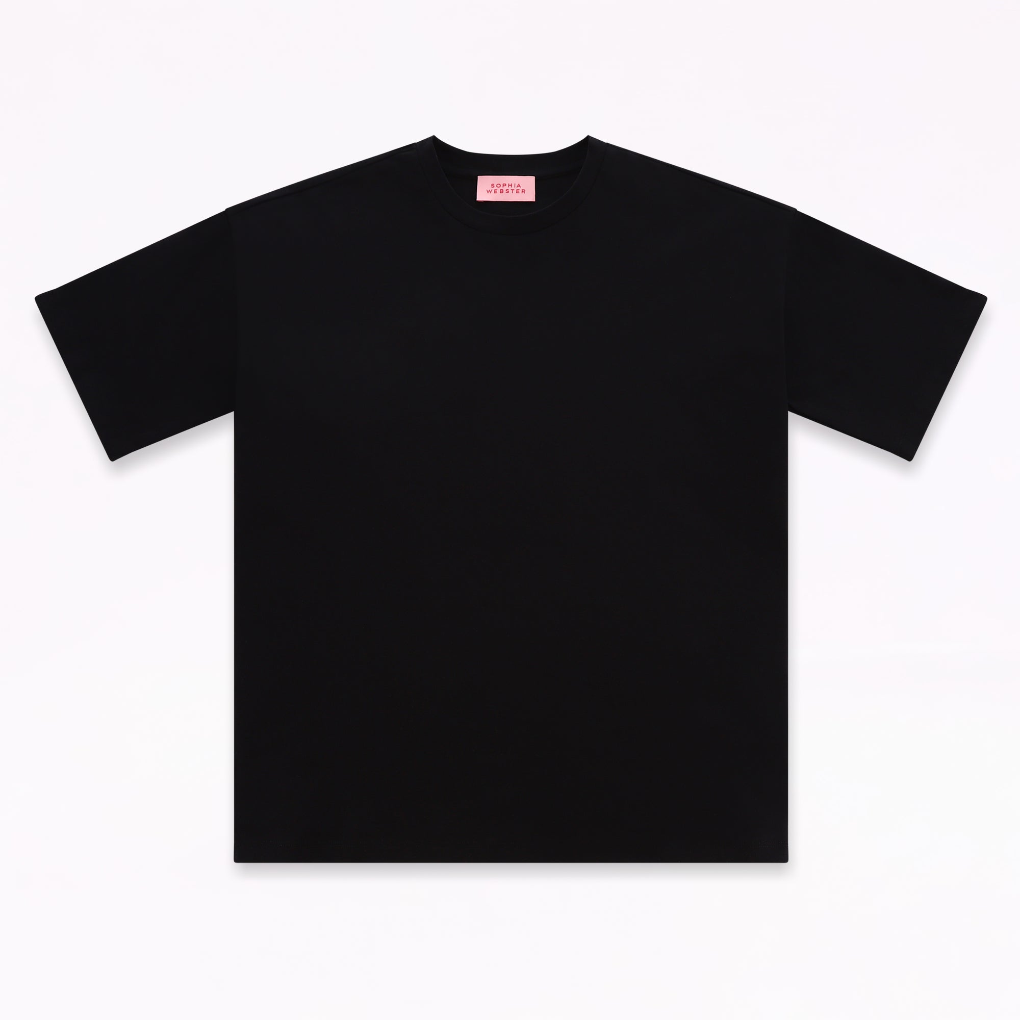 Feeding My Delusion Embroidery Oversized T-Shirt