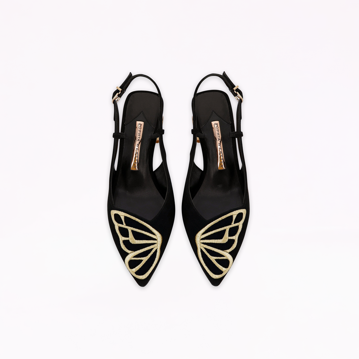 Butterfly Pump Low