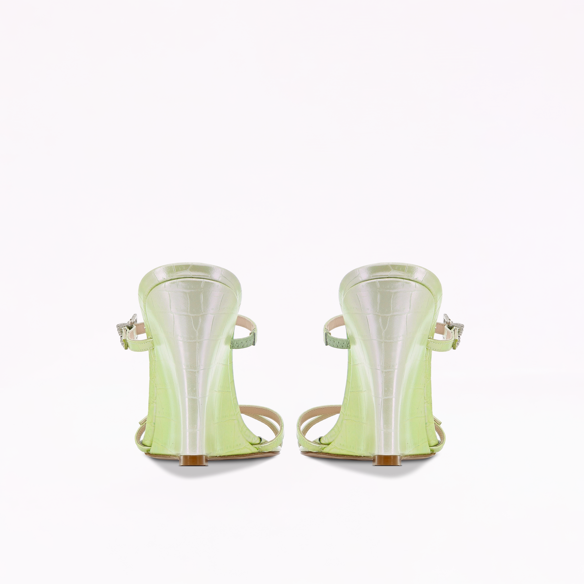 Venus Wedge