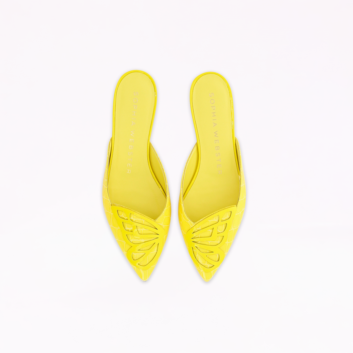 Butterfly Slipper