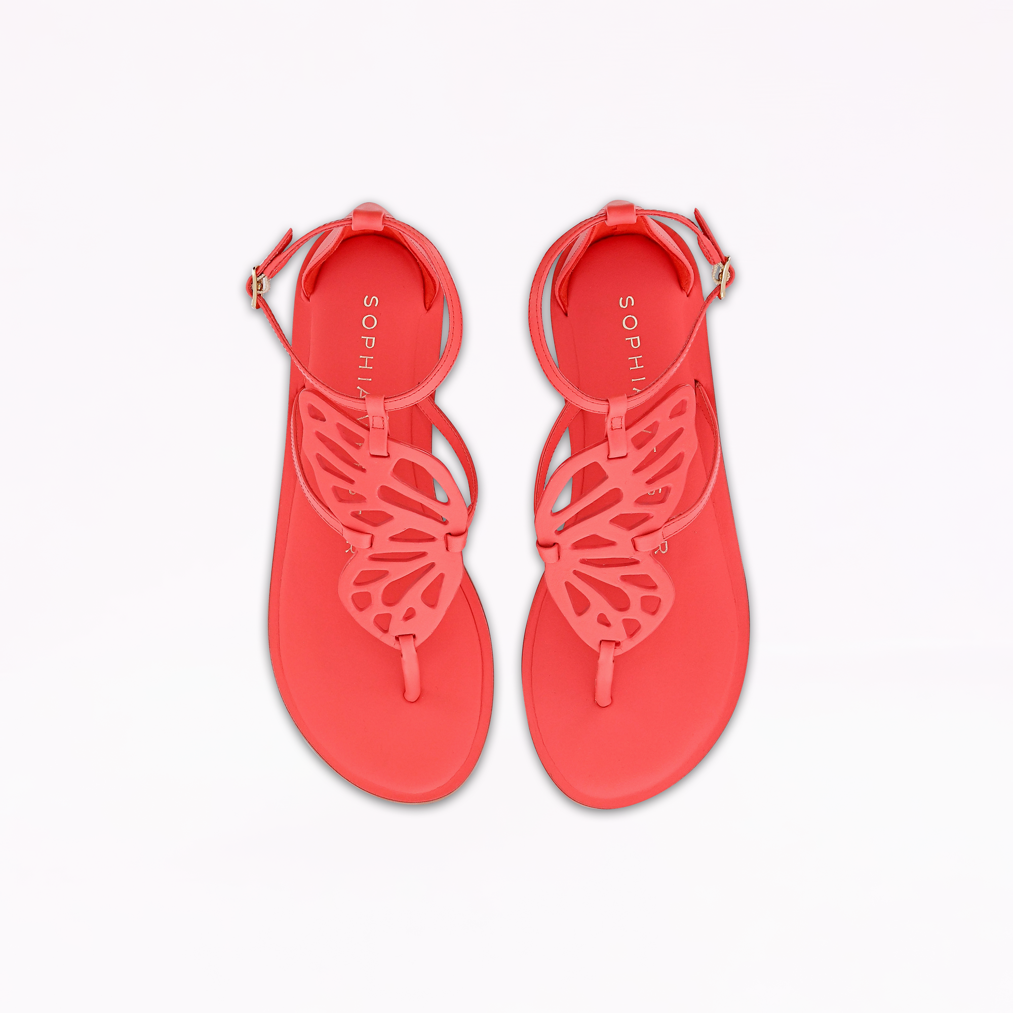Butterfly Flat Sandal