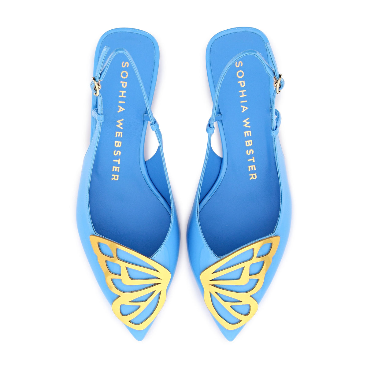 Butterfly Low Pump