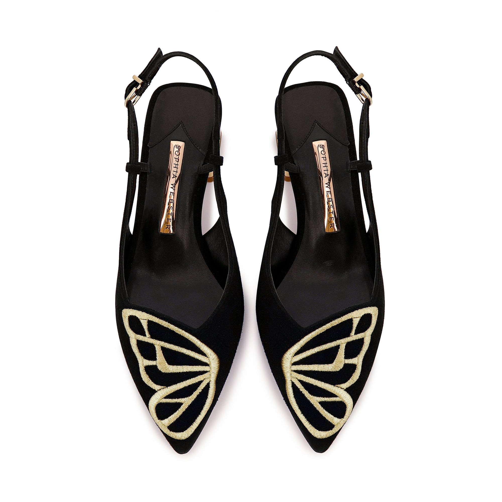 Butterfly Pump Low