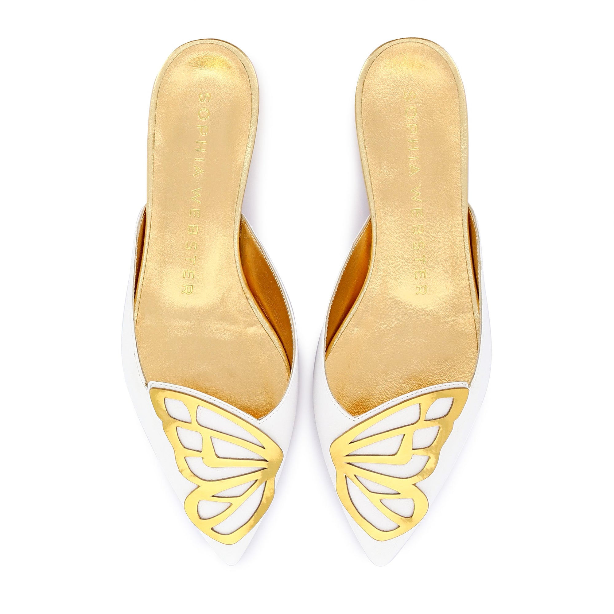 Butterfly Slipper