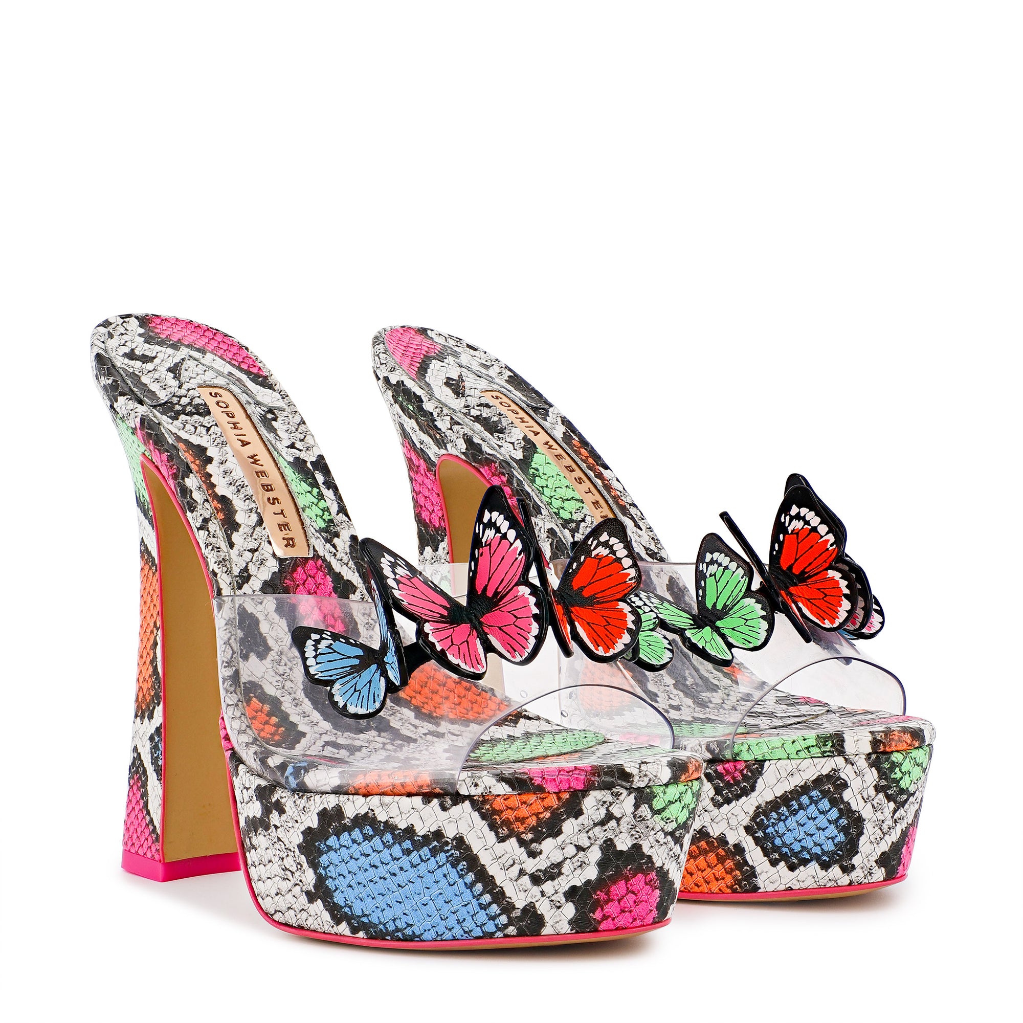 Vanessa Platform Mule